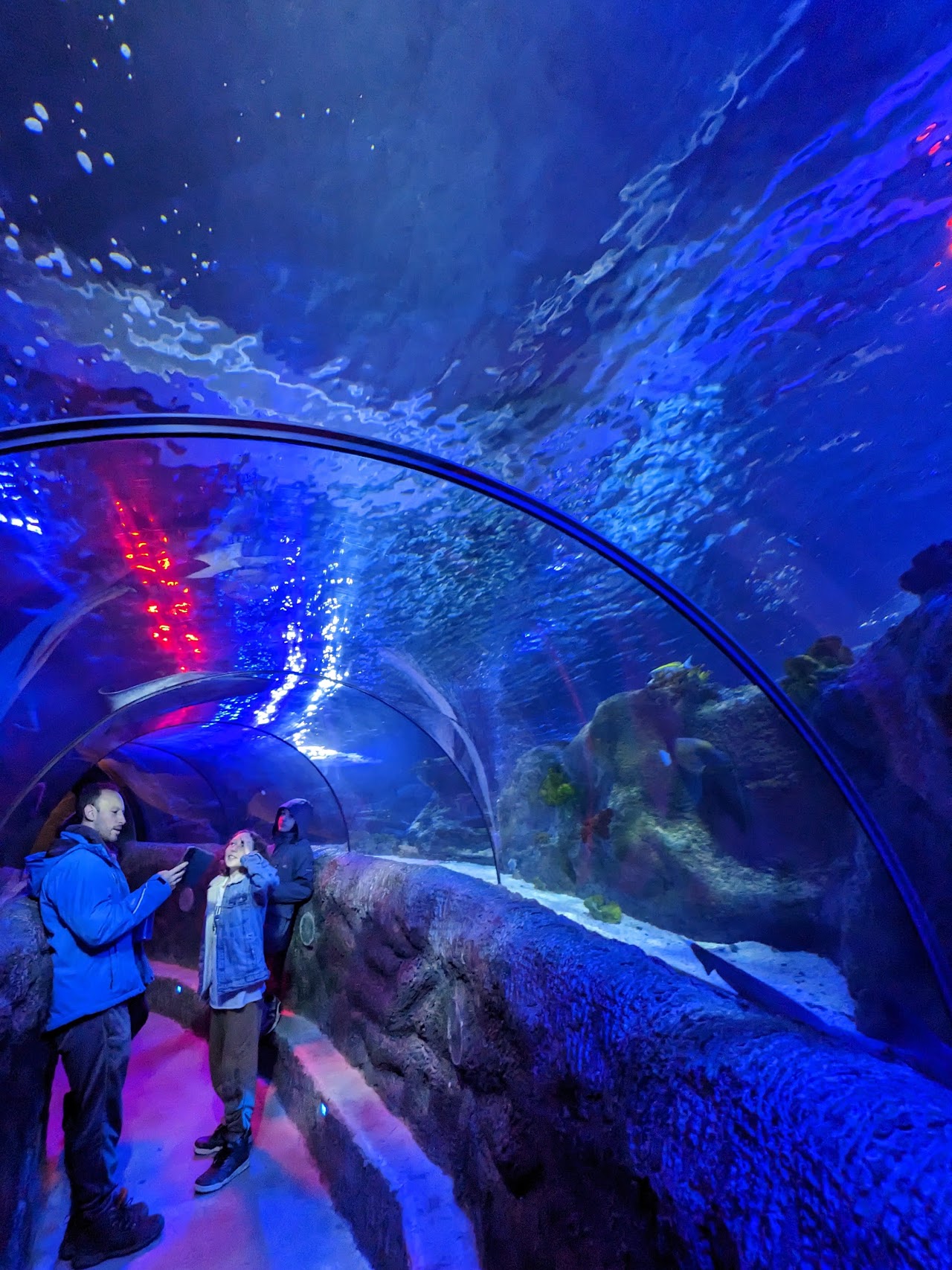 SEA LIFE Loch Lomond