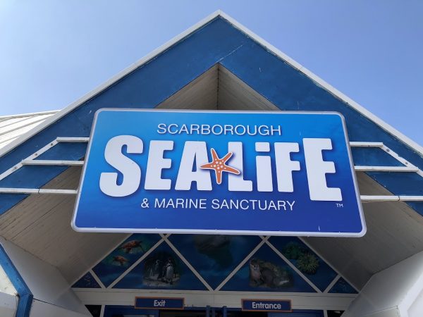 SEA LIFE Scarborough