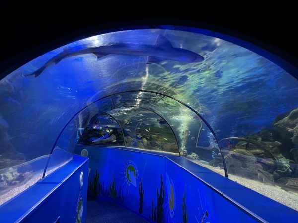 SEA LIFE Scarborough