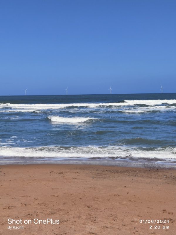 Seaton Sluice Beach