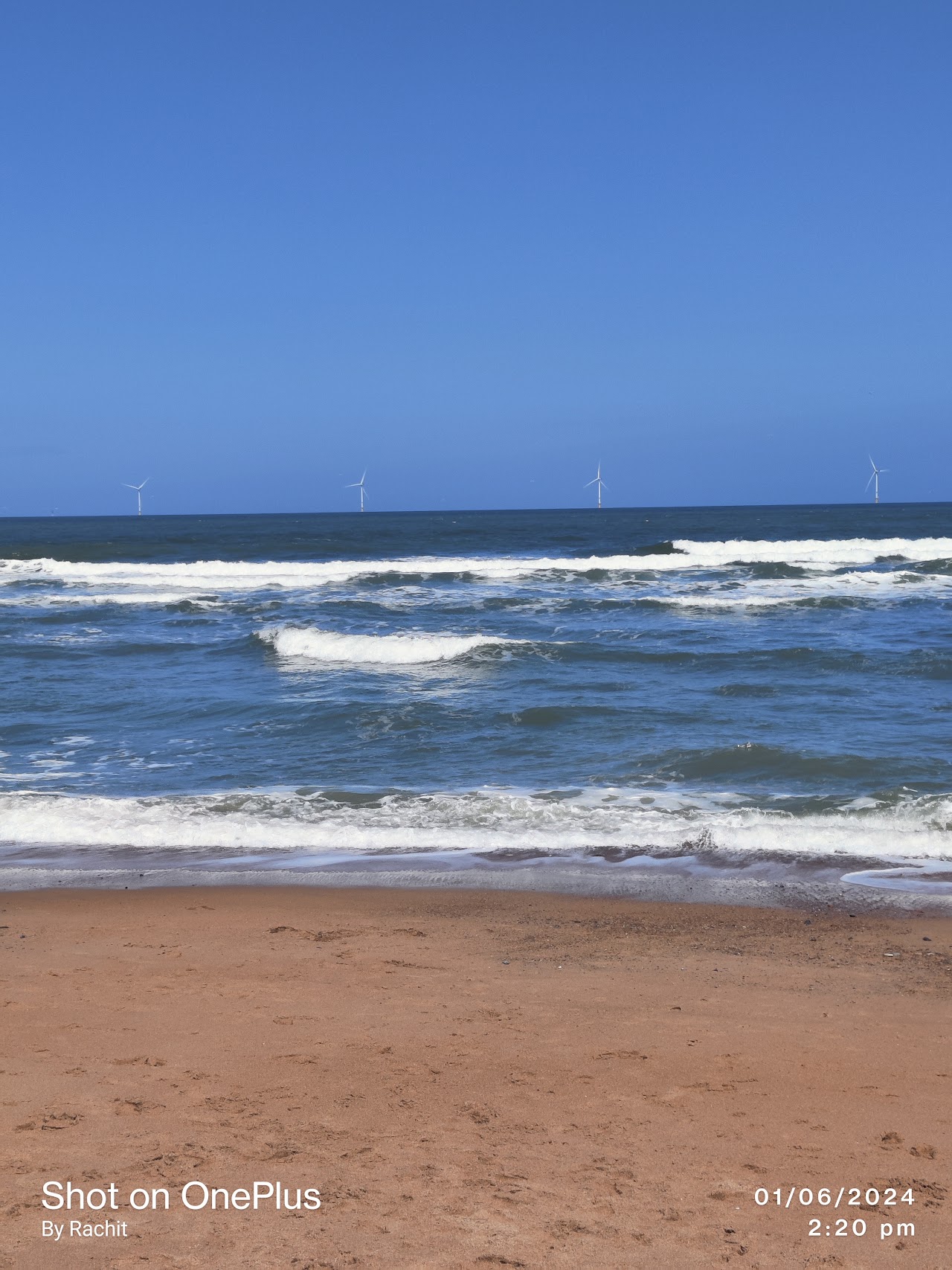 Seaton Sluice Beach