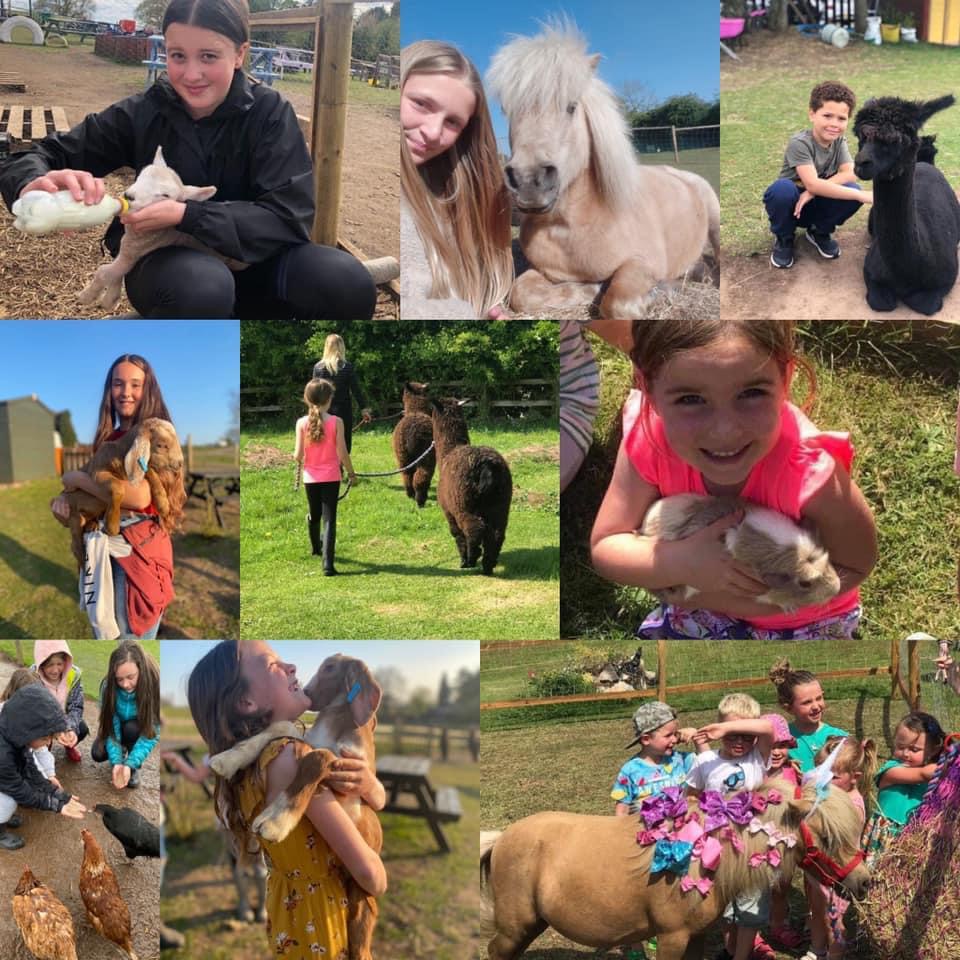 Sedgley Adventure Centre