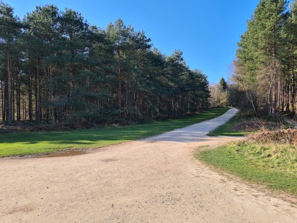 Sherwood Pines