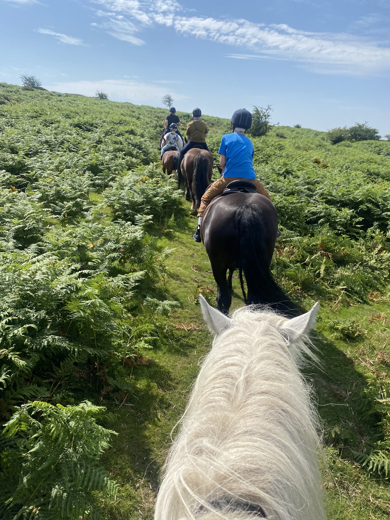 Shilstone Riding Centre