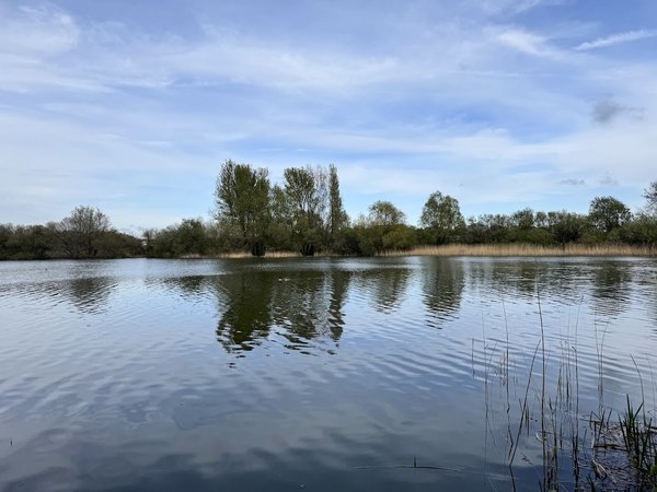 Shinewater Park