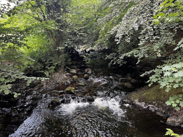 Simmons Park