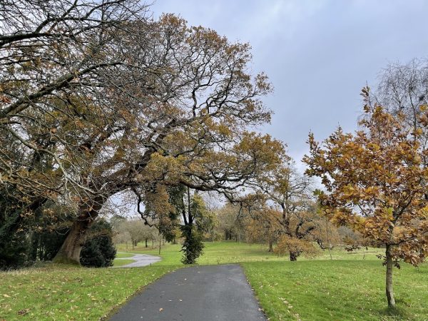 Singleton Park