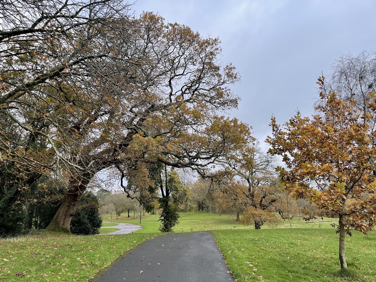 Singleton Park
