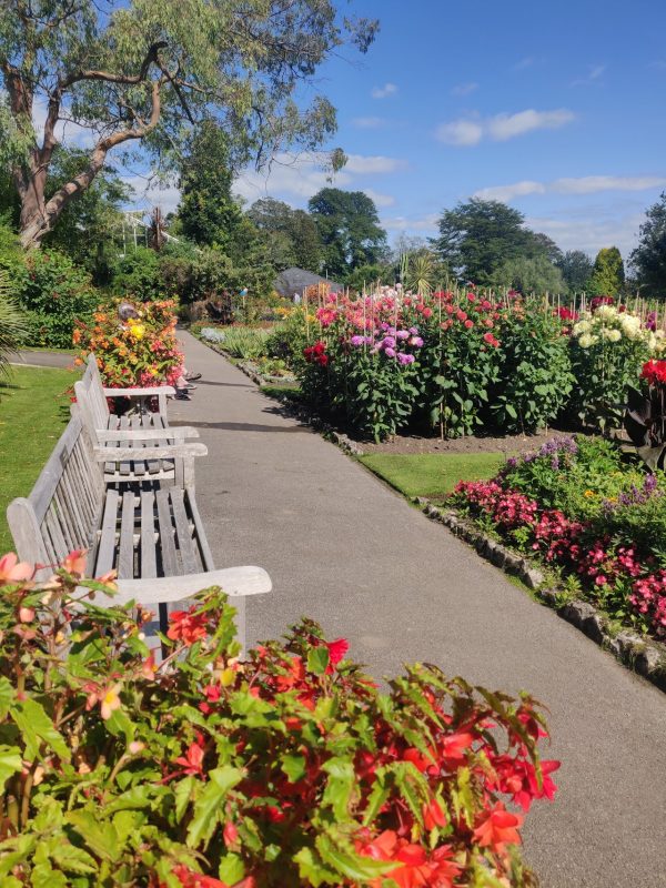 Singleton Park