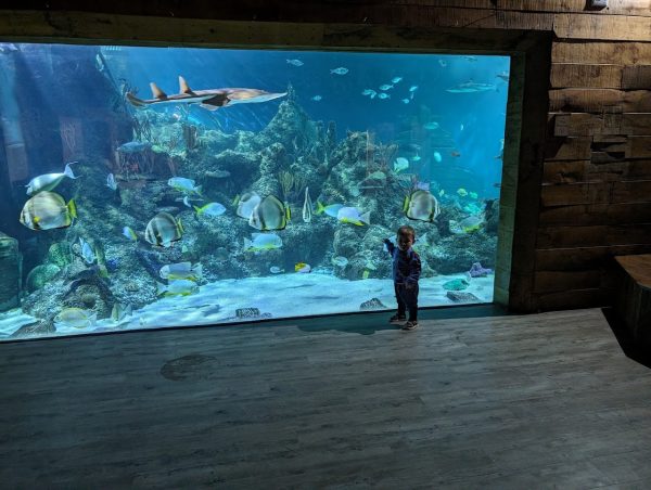 Skegness Aquarium