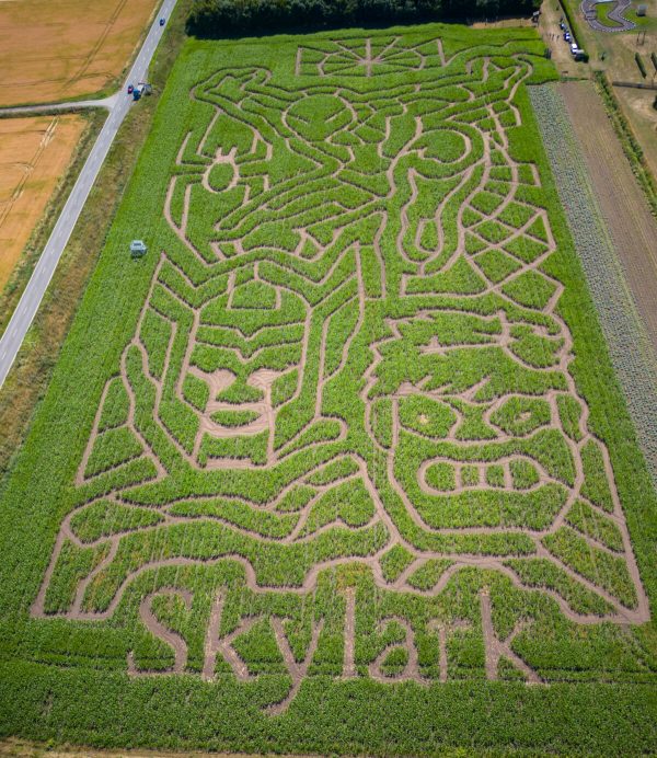 Skylark Maize Maze and Funyard