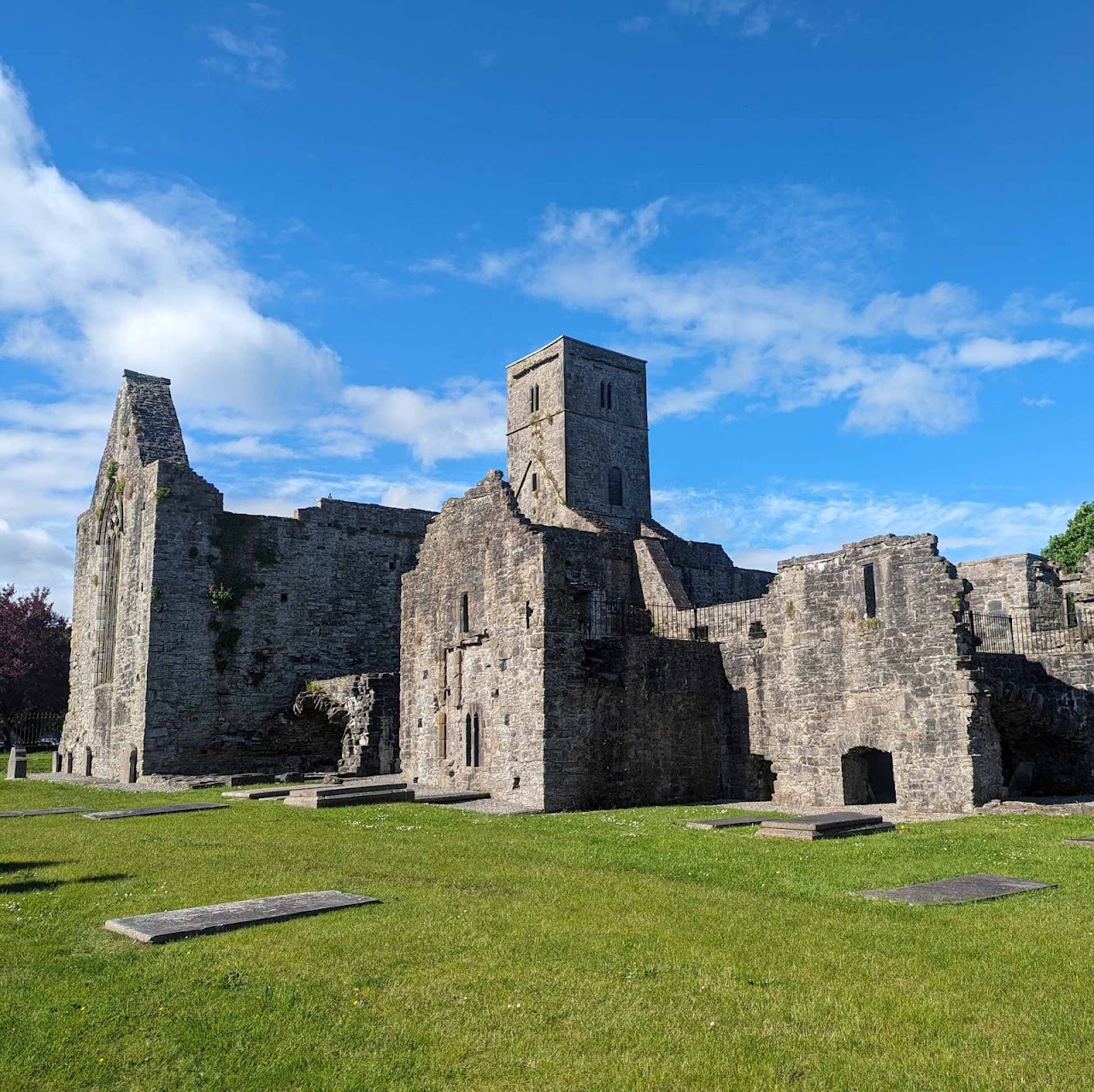 Sligo Abbey