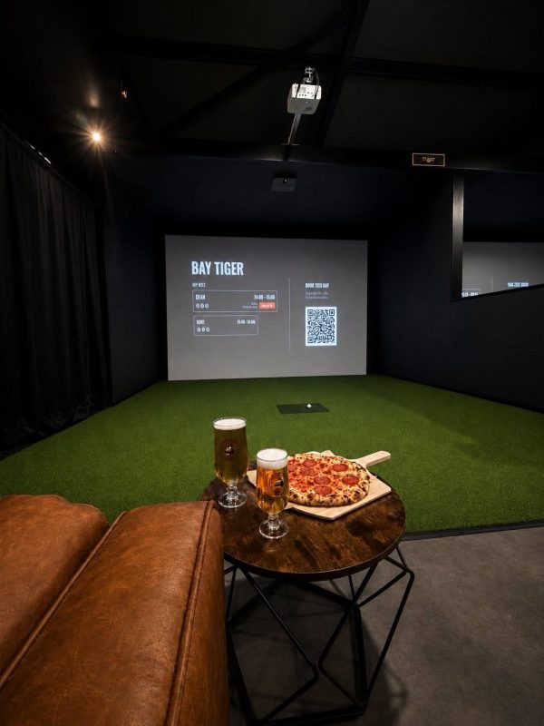SmackShot Indoor Golf