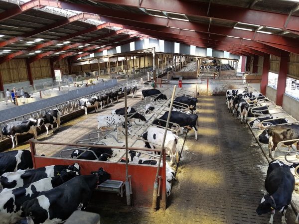 Smithills Open Farm