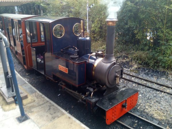 South Downs Light Railway