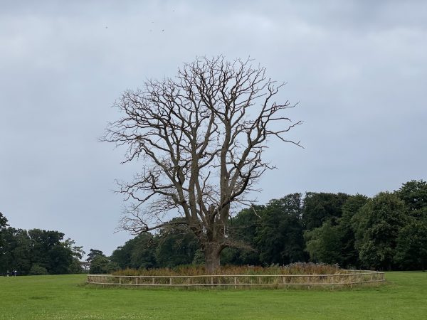 South Park Oxford