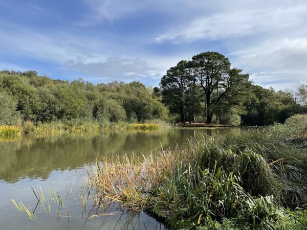 Southampton Common