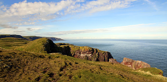 St Abbs Head Nature Reserve