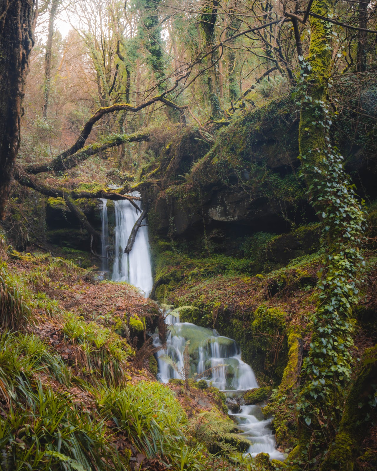 St Nectans Glen