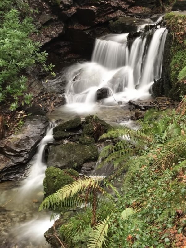 St Nectans Glen