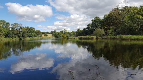 Stanton Park