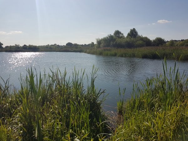 Stanwick Lakes