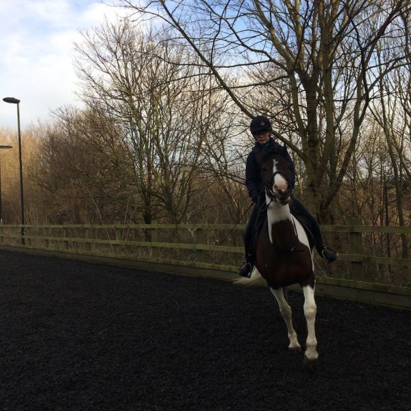 Stepney Bank Stables