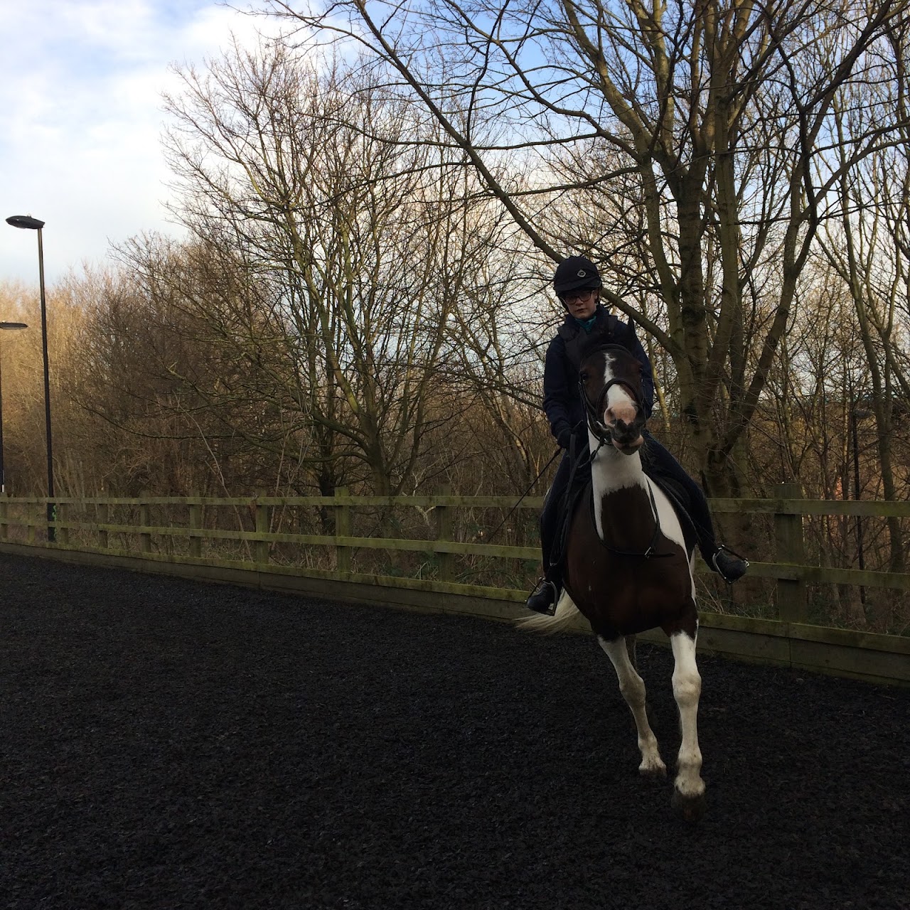 Stepney Bank Stables