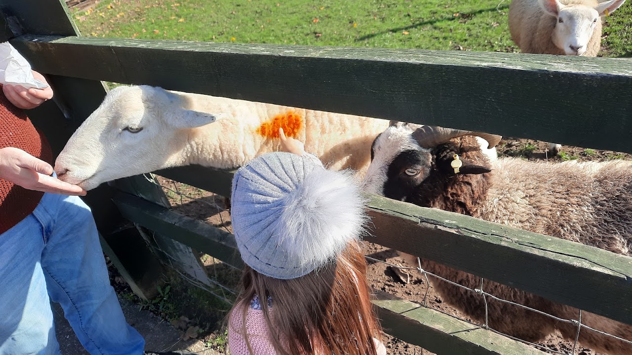 Stonebridge City Farm