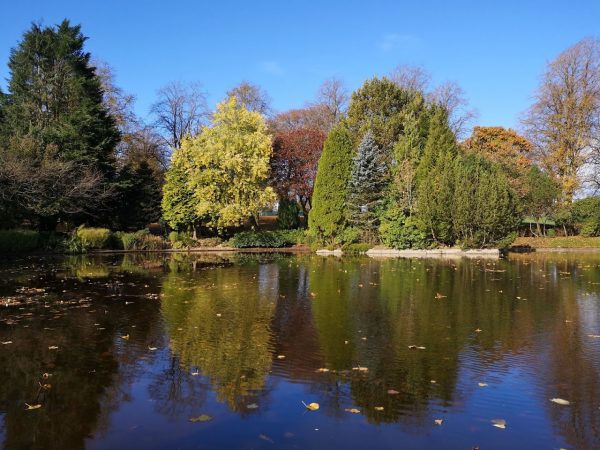 Strathaven Park