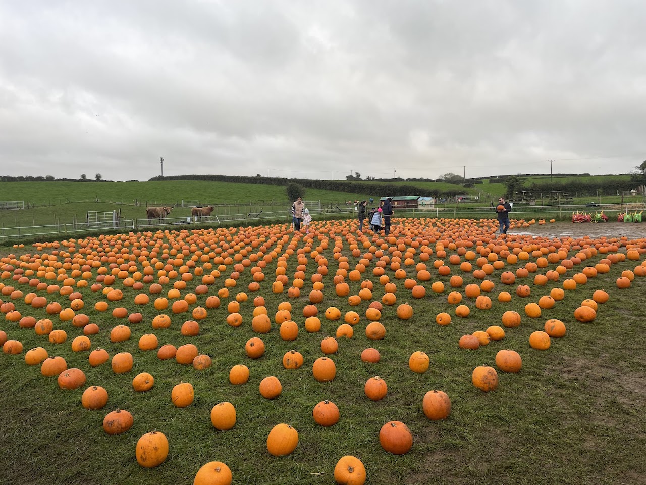 Streamvale Open Farm