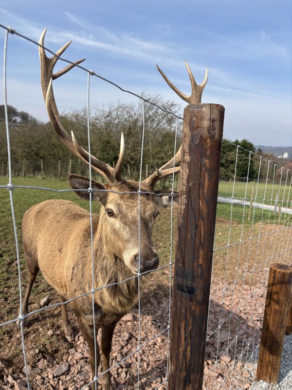 Streamvale Open Farm
