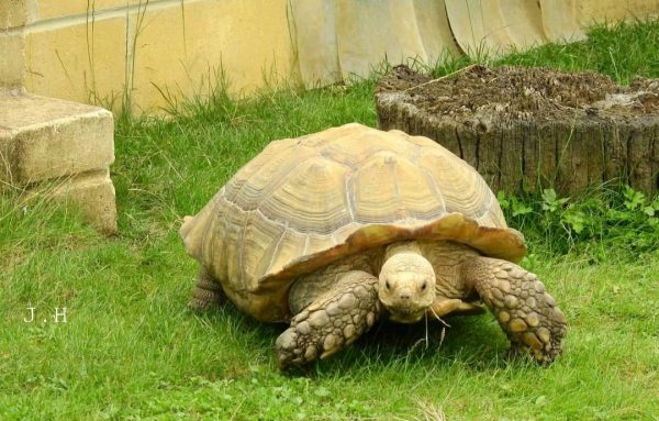 Studley Grange Craft Village & Butterfly World