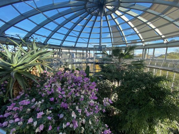 Sunderland Museum & Winter Gardens