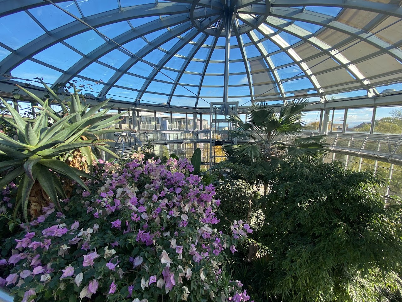 Sunderland Museum & Winter Gardens
