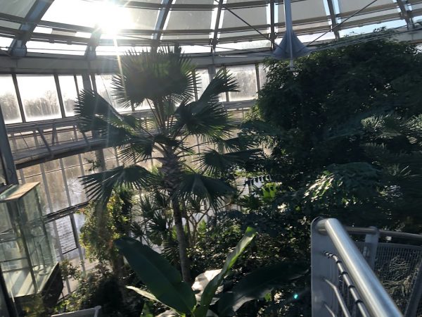 Sunderland Museum & Winter Gardens