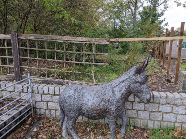 Surrey Docks Farm