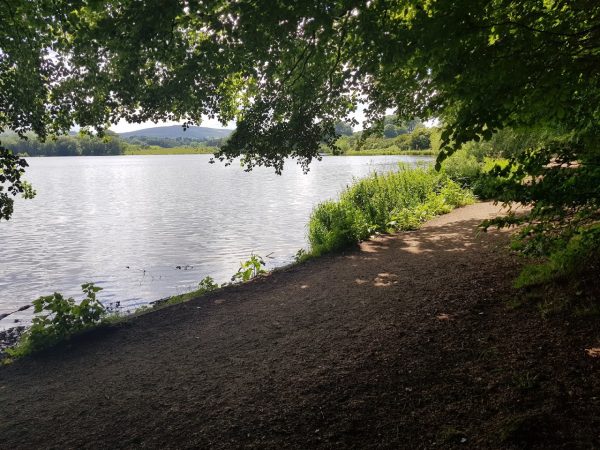Talkin Tarn Country Park