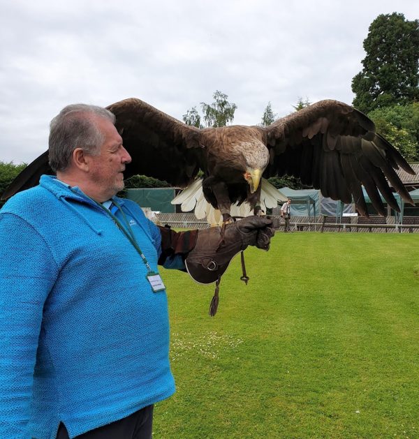 Talon Falconry