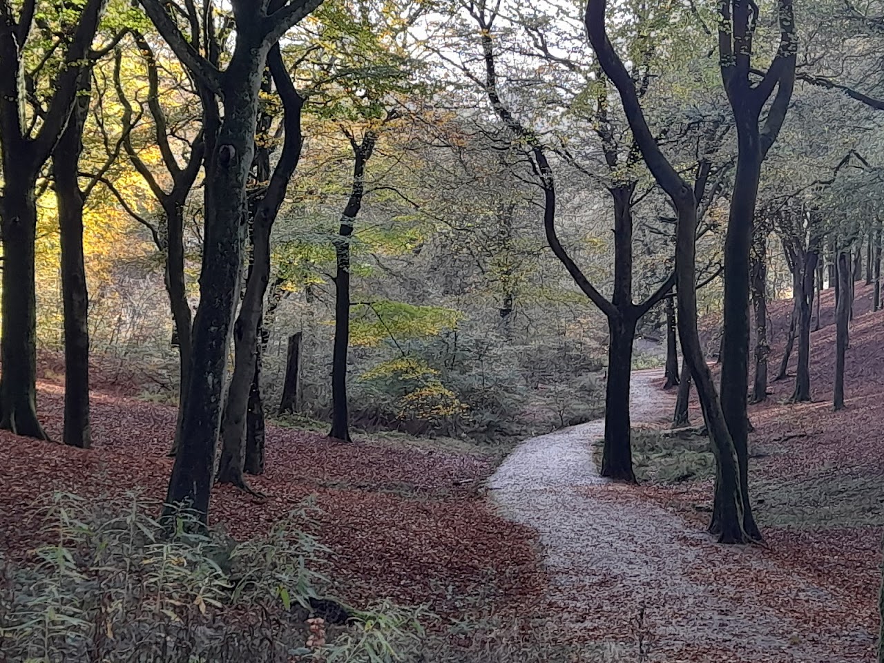Tandle Hill Country Park