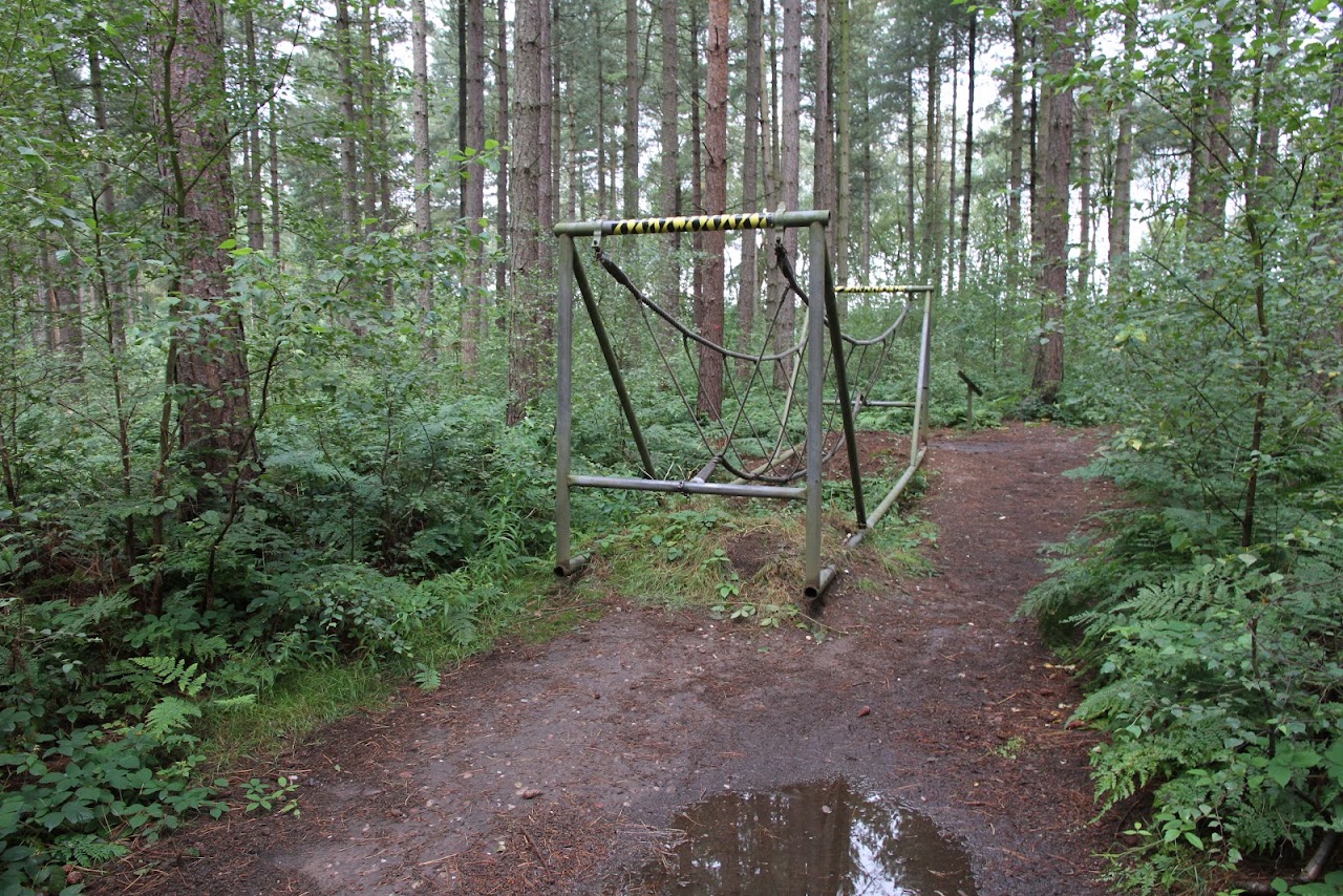 The Adrenalin Jungle
