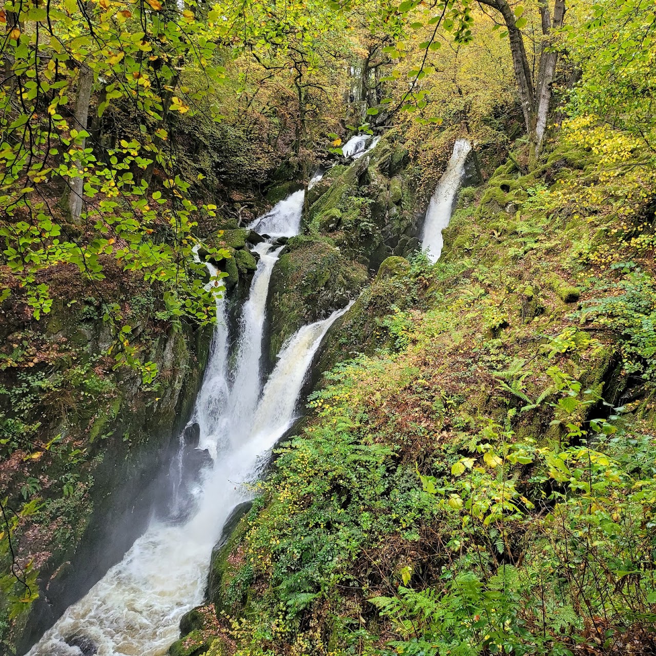 The Ambleside Mystery Treasure Trail