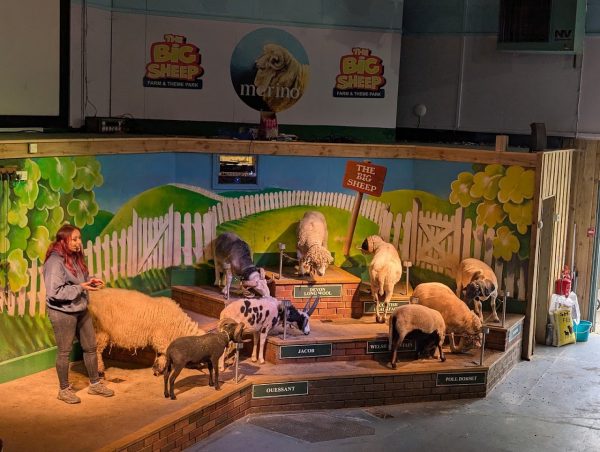 The Big Sheep
