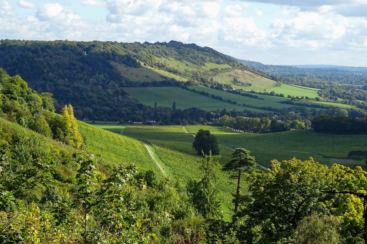 The Box Hill Spy Mission Treasure Trail