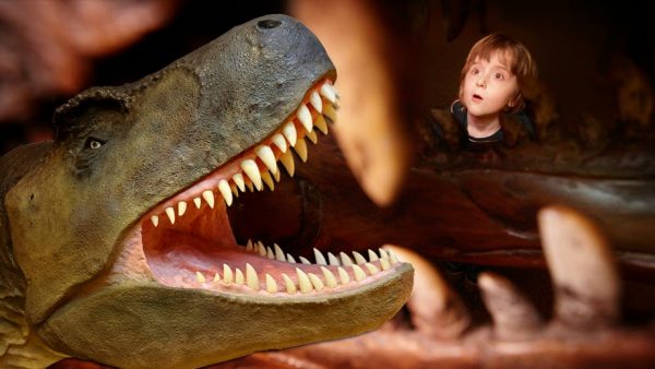 The Dinosaur Museum