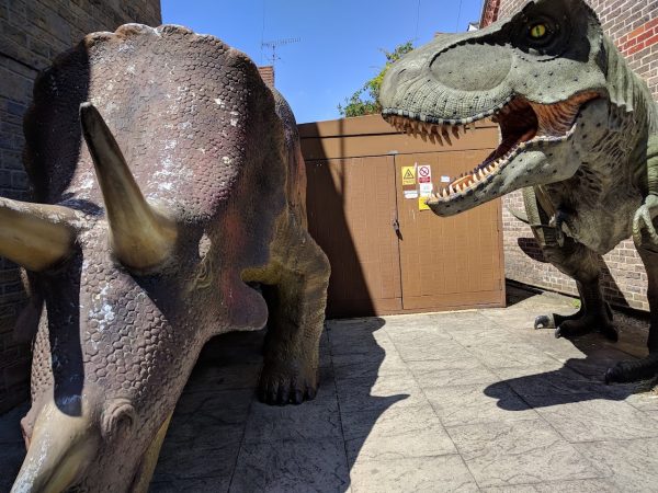 The Dinosaur Museum