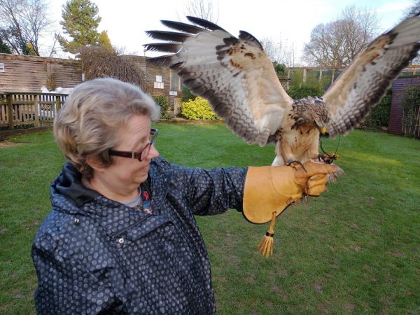 The Falconry Centre