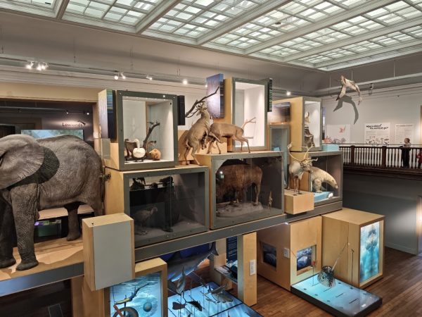 The Great North Museum
