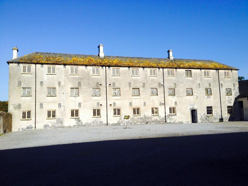The Irish Workhouse Centre