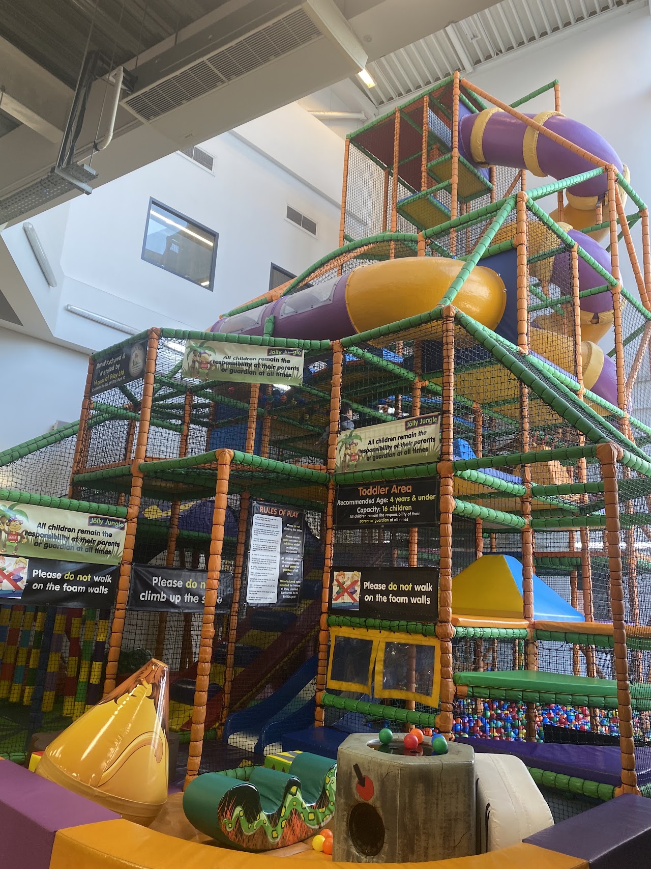 The Jolly Jungle
